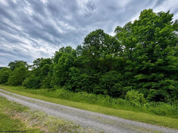 Lot 6 Iron Horse Lane, Dryfork, WV 26263
