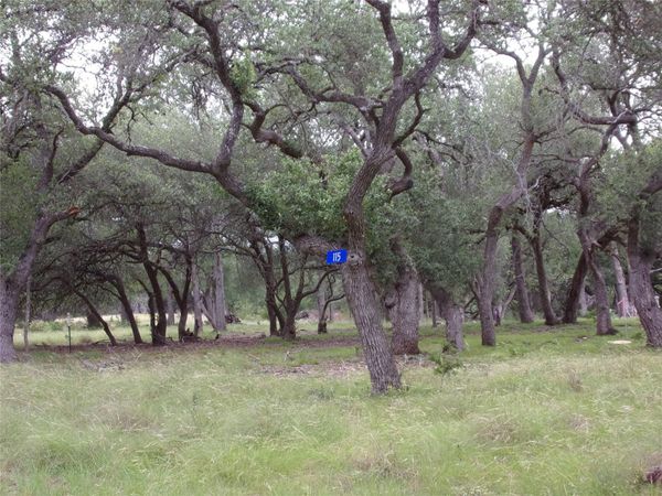 115 LA LUNA DR DR, Blanco, TX 78606