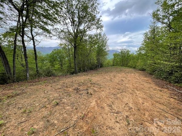 Lot 7 Copperhead Cove , Sylva, NC 28779