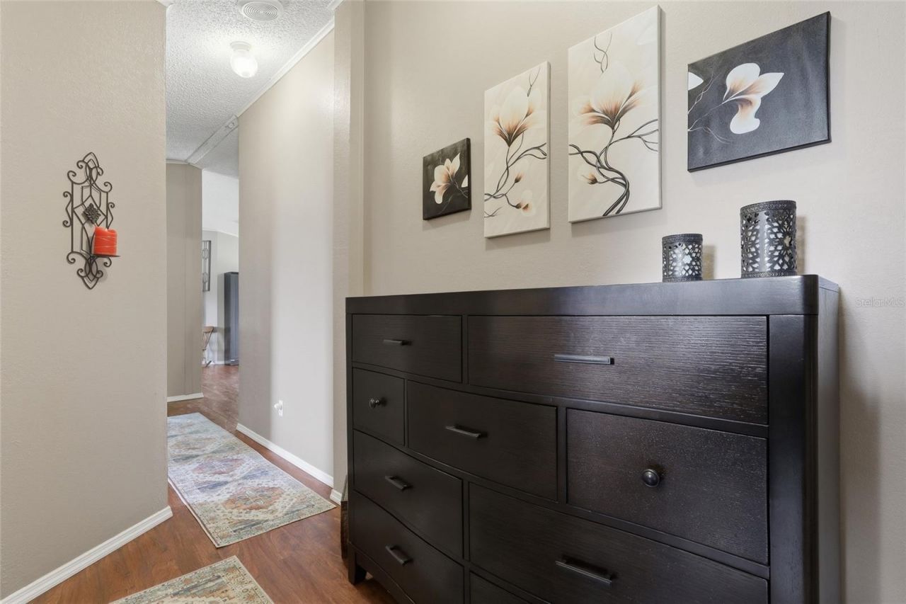 28651 Tupper Road, Wesley Chapel, FL 33545 Photo