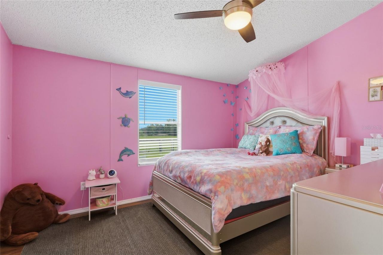 28651 Tupper Road, Wesley Chapel, FL 33545 Photo