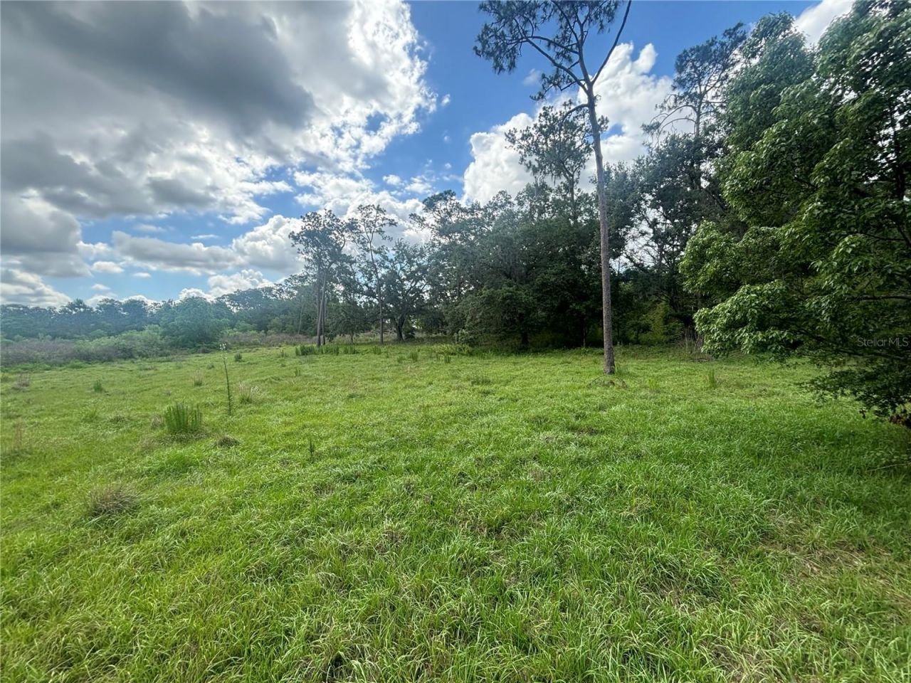 28651 Tupper Road, Wesley Chapel, FL 33545 Photo