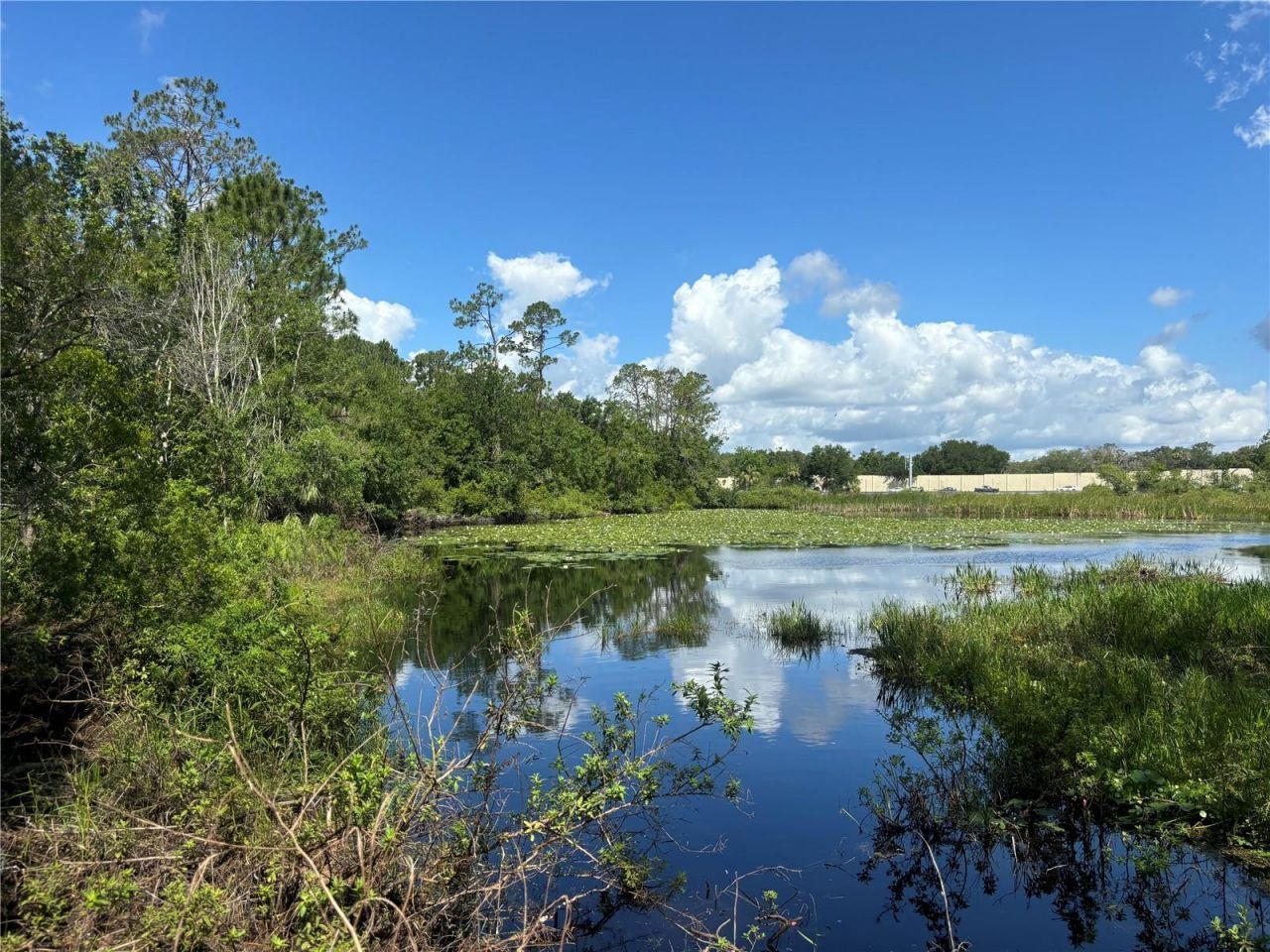 28651 Tupper Road, Wesley Chapel, FL 33545 Photo