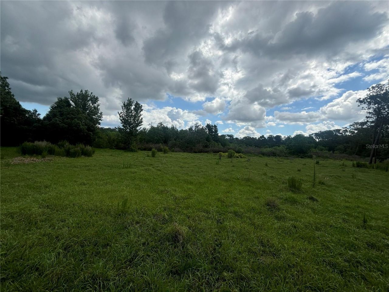 28651 Tupper Road, Wesley Chapel, FL 33545 Photo