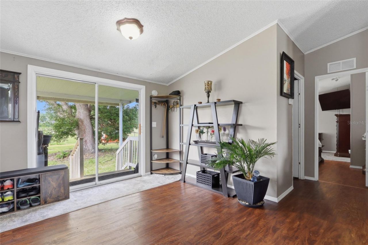 28651 Tupper Road, Wesley Chapel, FL 33545 Photo