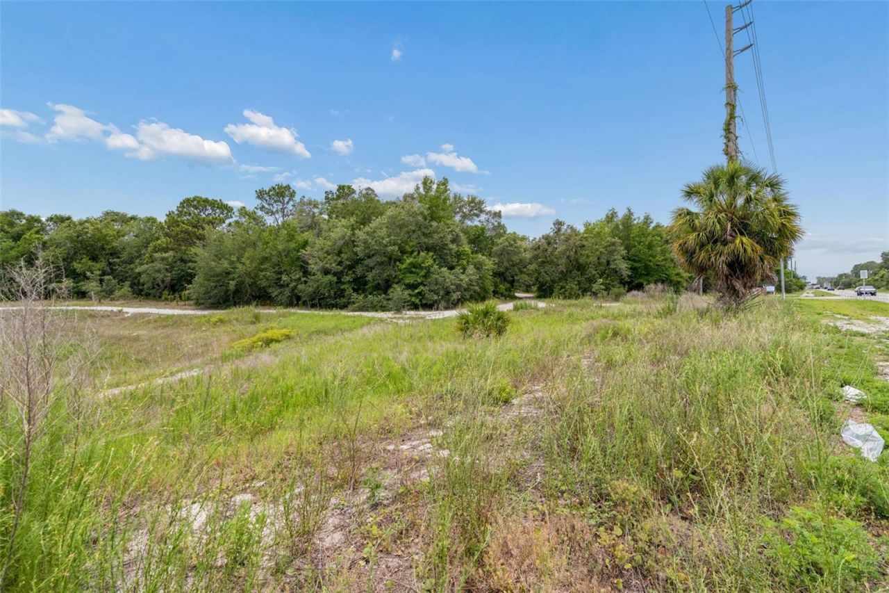 County Line Road , Spring Hill, FL 34610 Photo