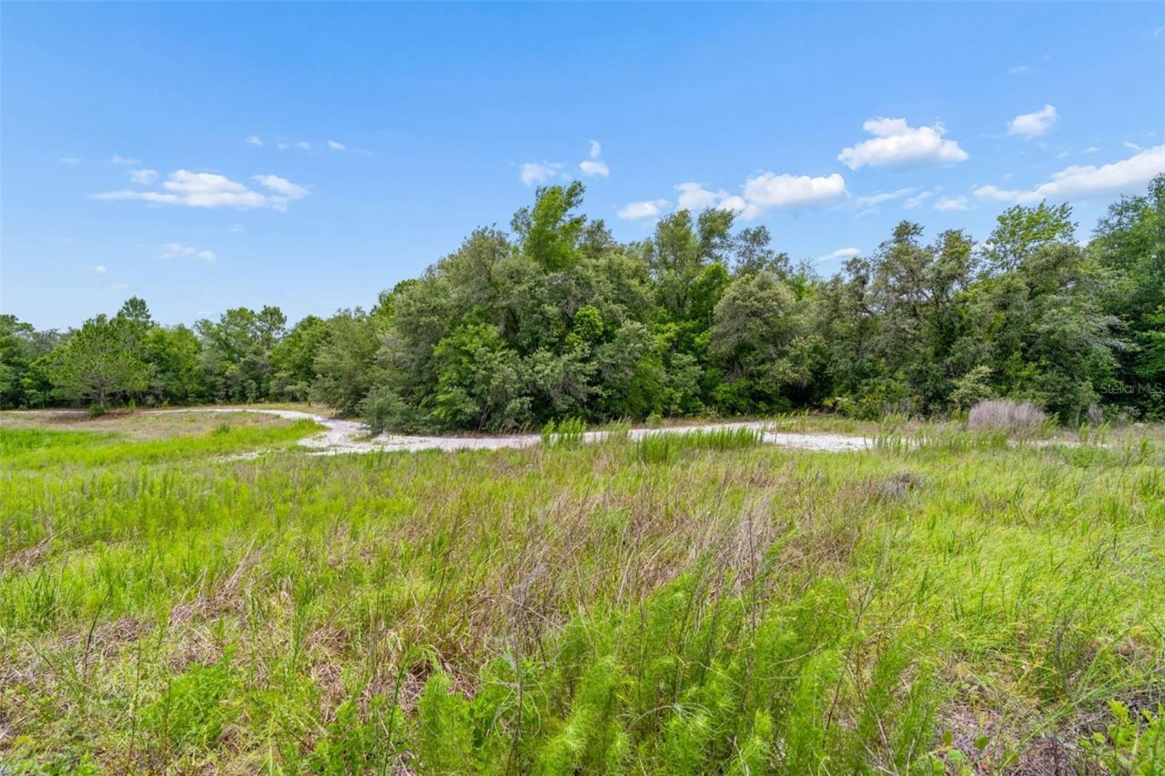 County Line Road , Spring Hill, FL 34610 Photo