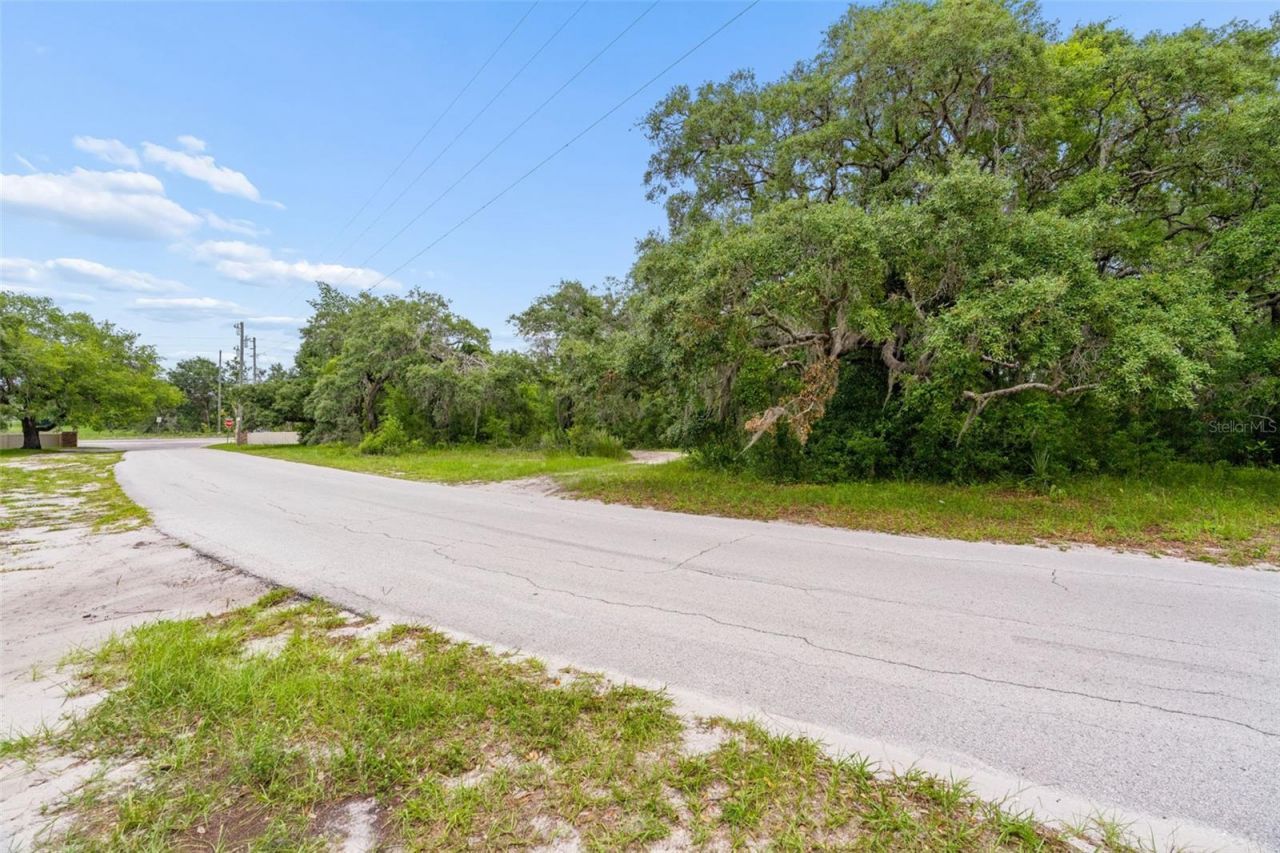County Line Road , Spring Hill, FL 34610 Photo
