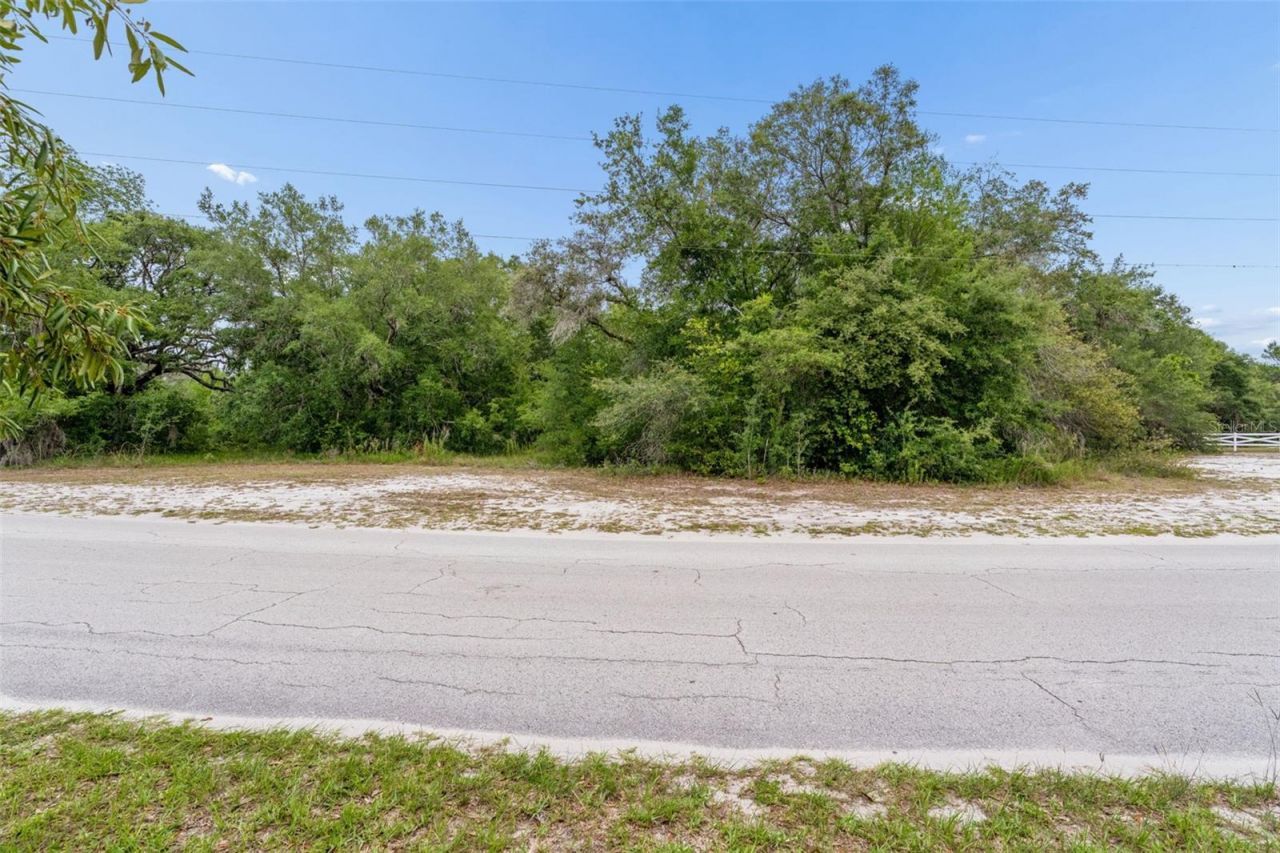 County Line Road , Spring Hill, FL 34610 Photo