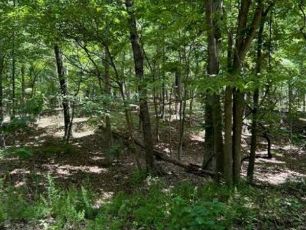 0 Hargrove Road, St Robert, MO 65584