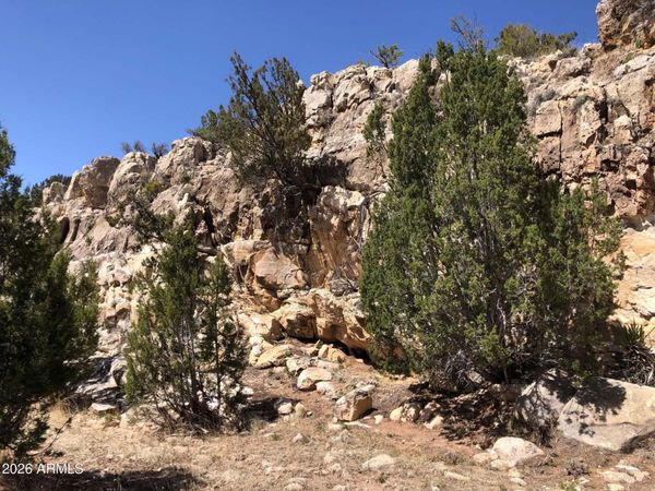 785 Twin Tanks Road, Unit '-', Heber, AZ 85928