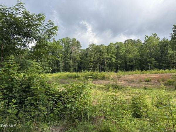 Tbd Rhea Lane, Mountain City, TN 37683