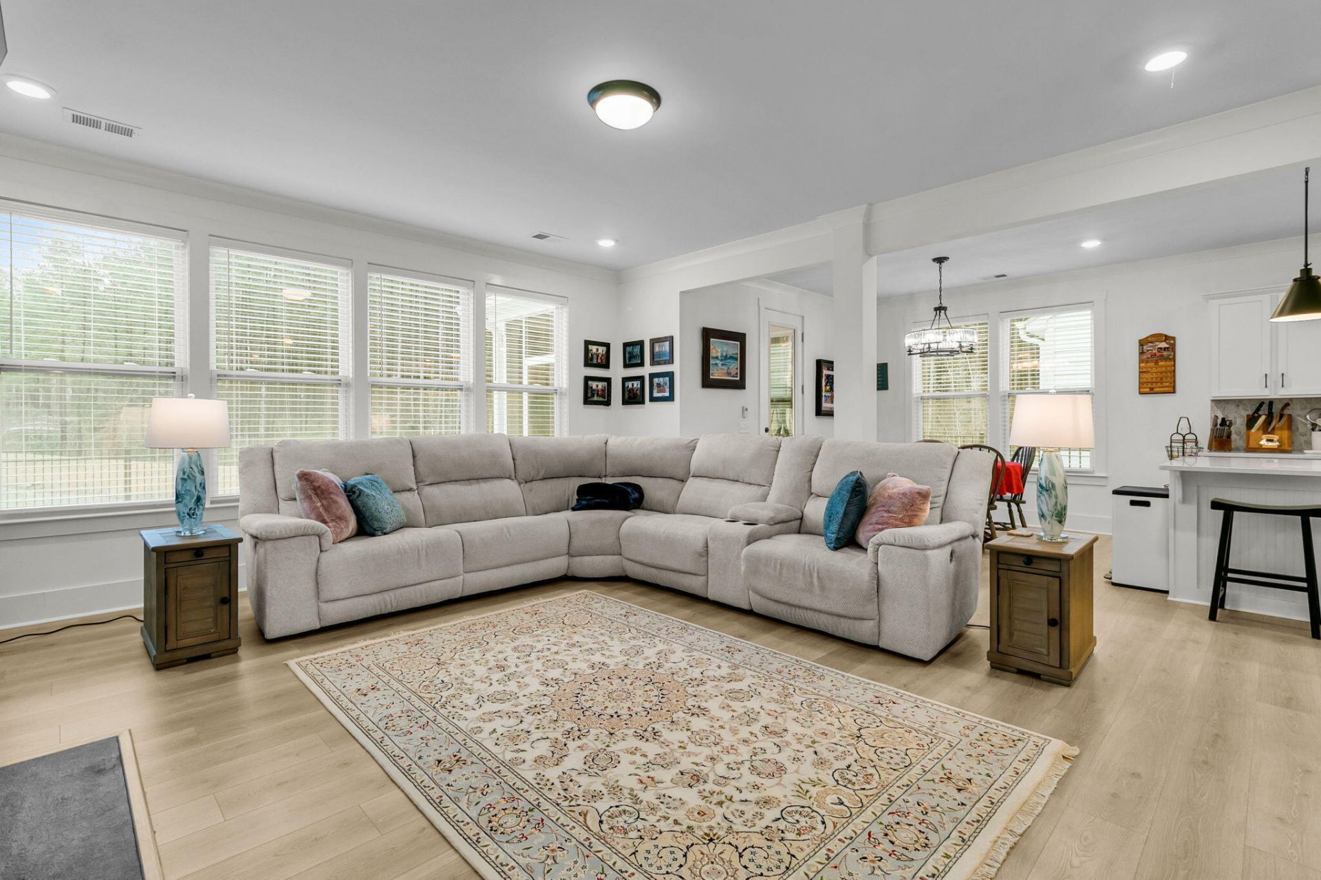 245 Summer Tanager Drive Photo 12
