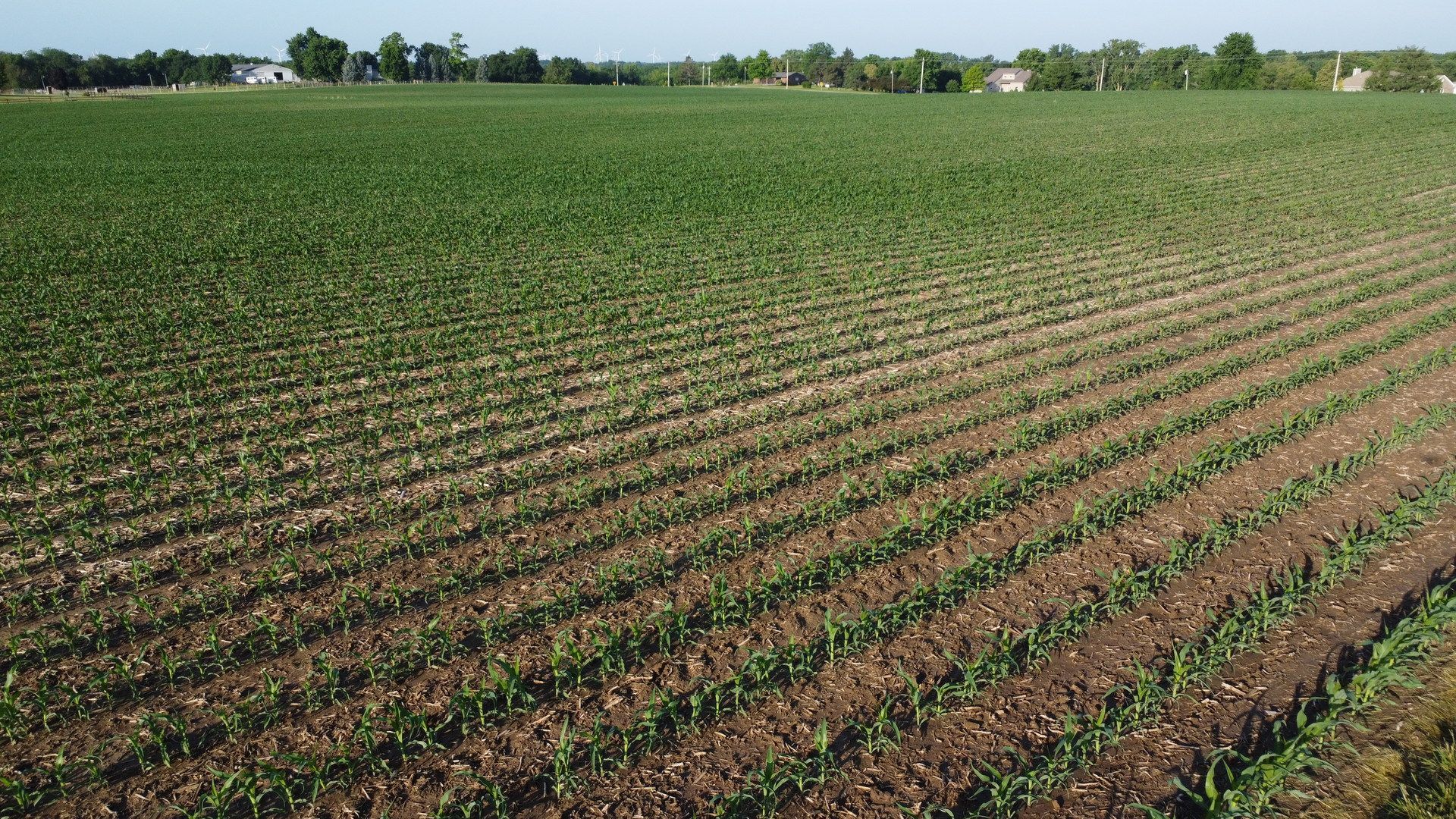00 525N , El Paso, IL 61738