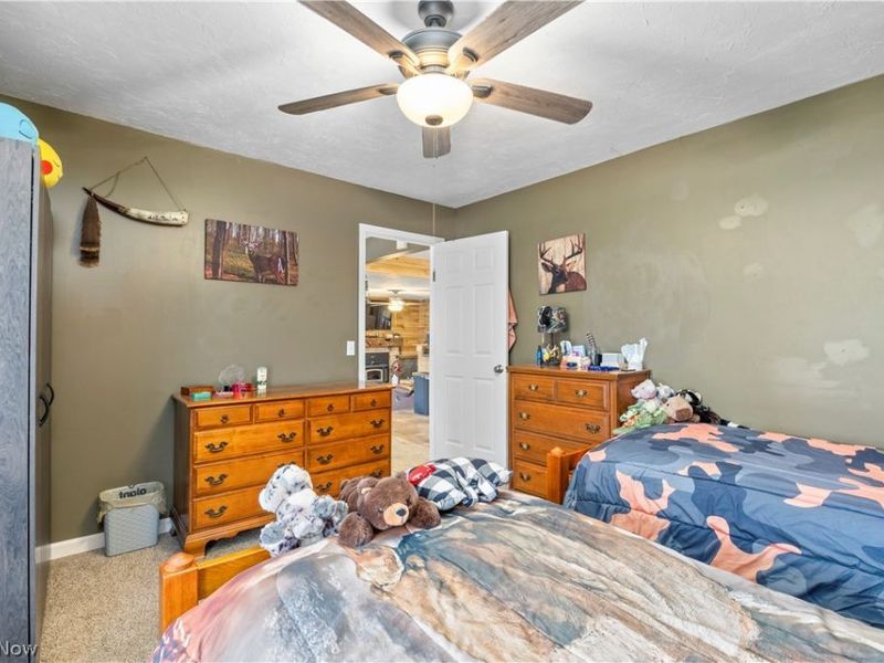 37581 Capel Road , Grafton, OH 44044 Photo 28