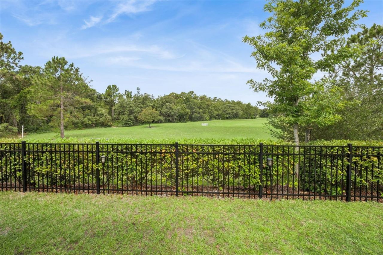 2809 Sanctuary Drive, Clermont, FL 34714 Photo