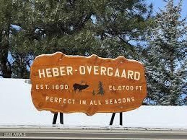 3369 WINDY Lane, Unit 145, Heber, AZ 85928