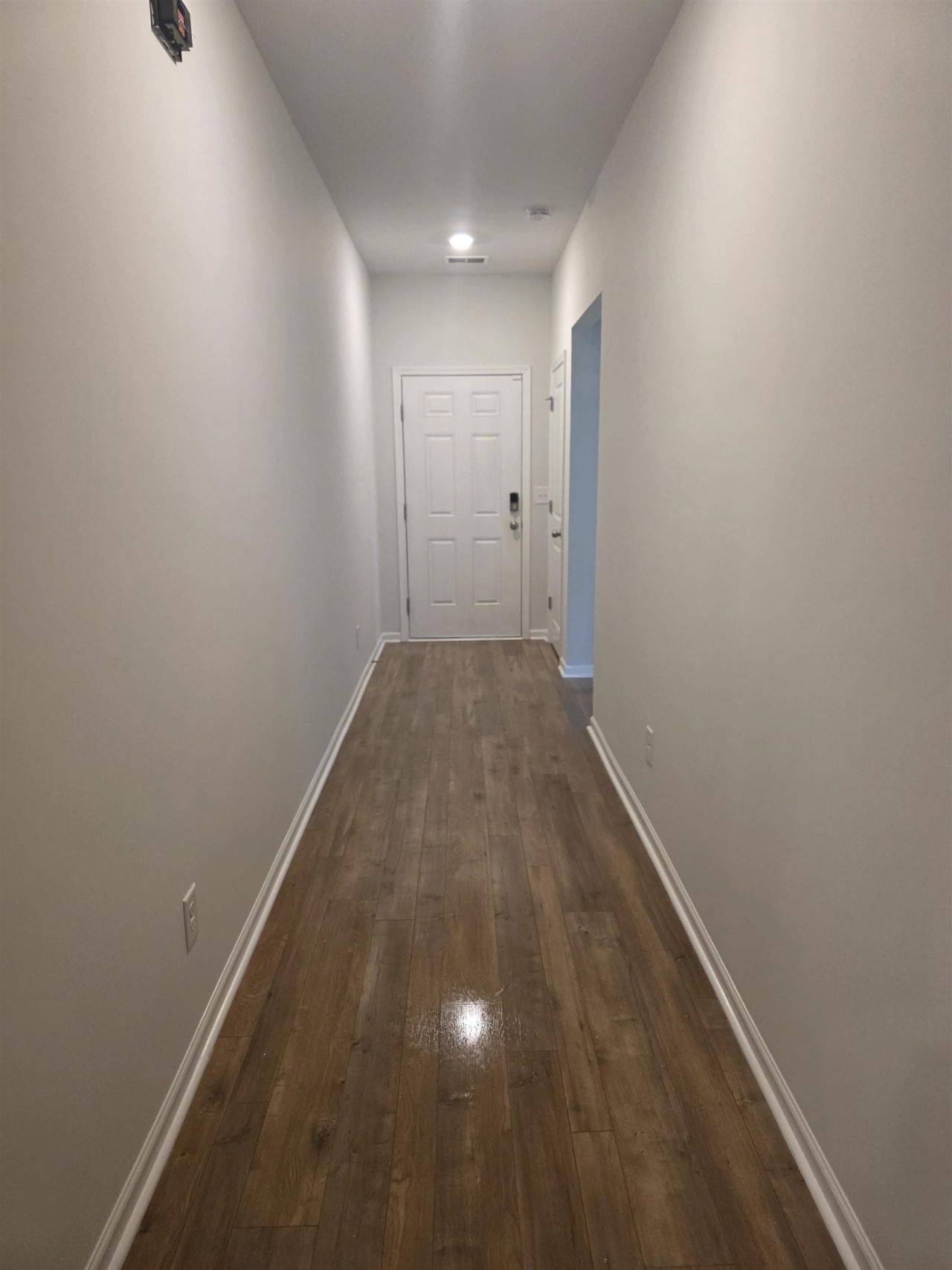 145 Cypress Tree Loop Photo 11