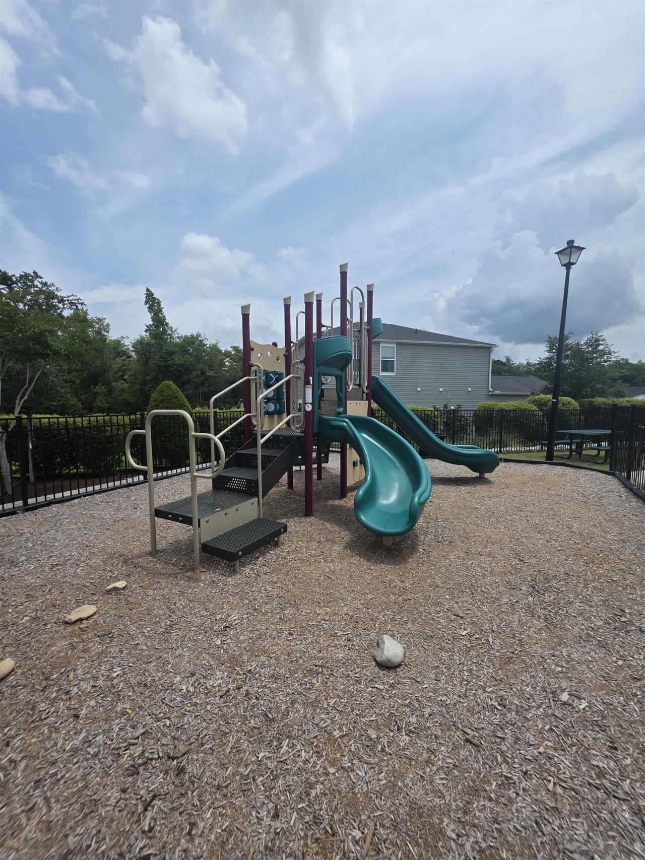 145 Cypress Tree Loop Photo 20
