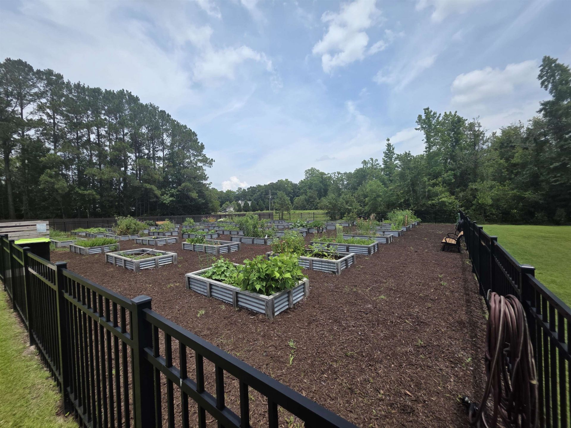 145 Cypress Tree Loop Photo 21