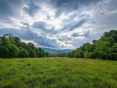Lot 11 Iron Horse Lane, Dryfork, WV 26263