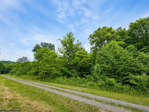 Lot 12 Iron Horse Lane, Dryfork, WV 26263