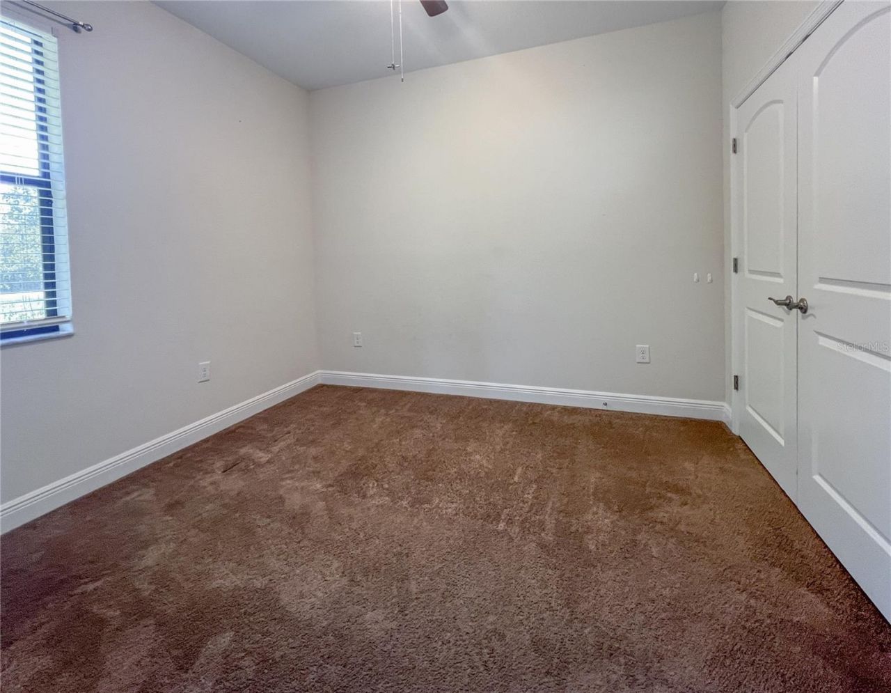 12307 Newt Court, New Port Richey, FL 34654 Photo