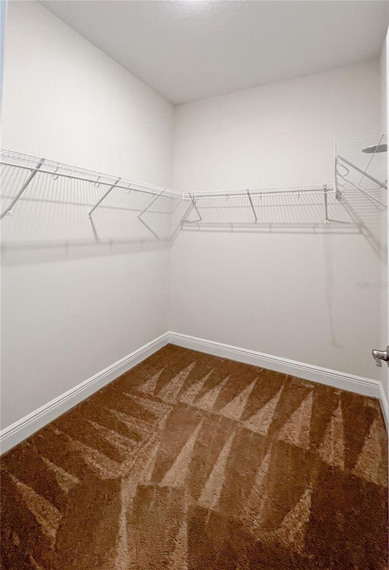12307 Newt Court, New Port Richey, FL 34654 Photo