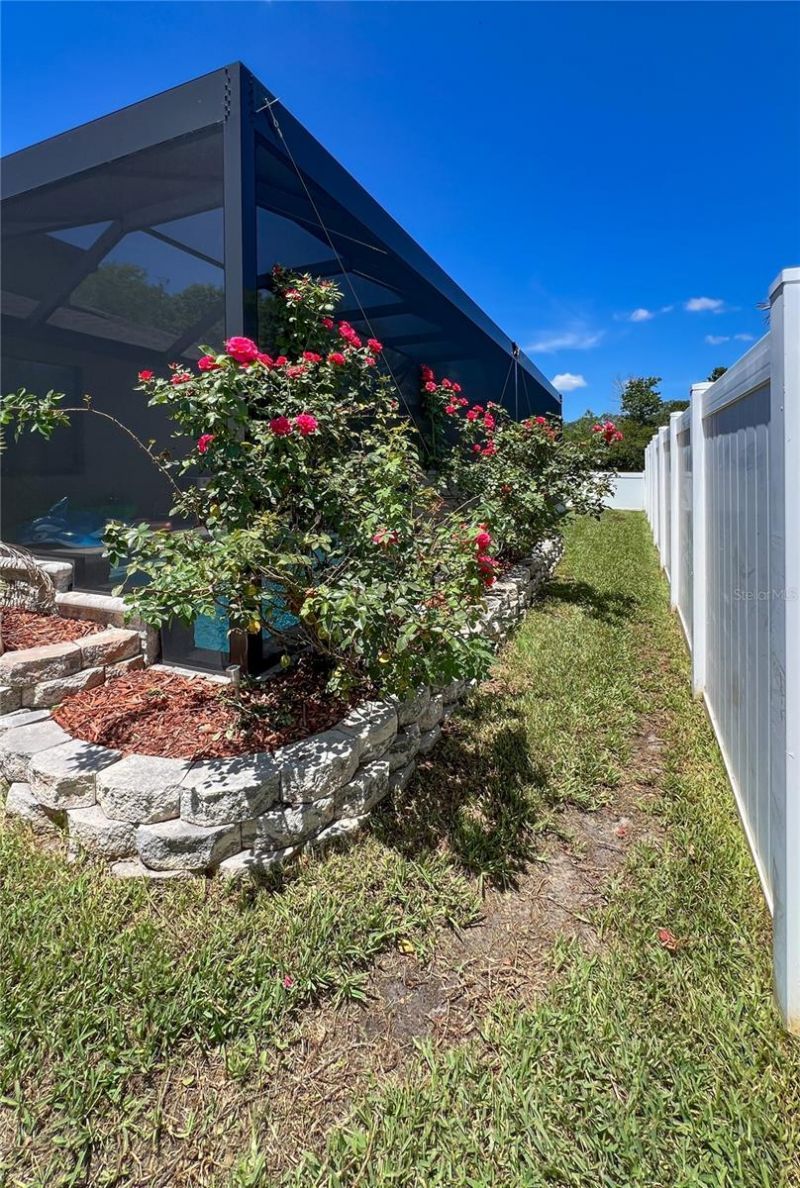 12307 Newt Court, New Port Richey, FL 34654 Photo