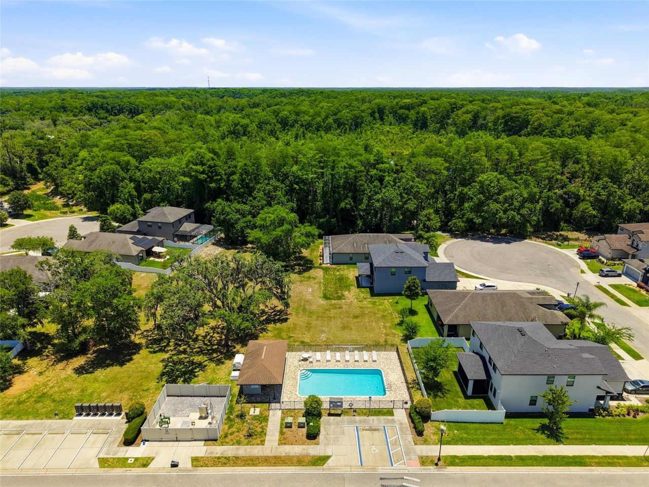 12307 Newt Court, New Port Richey, FL 34654 Photo