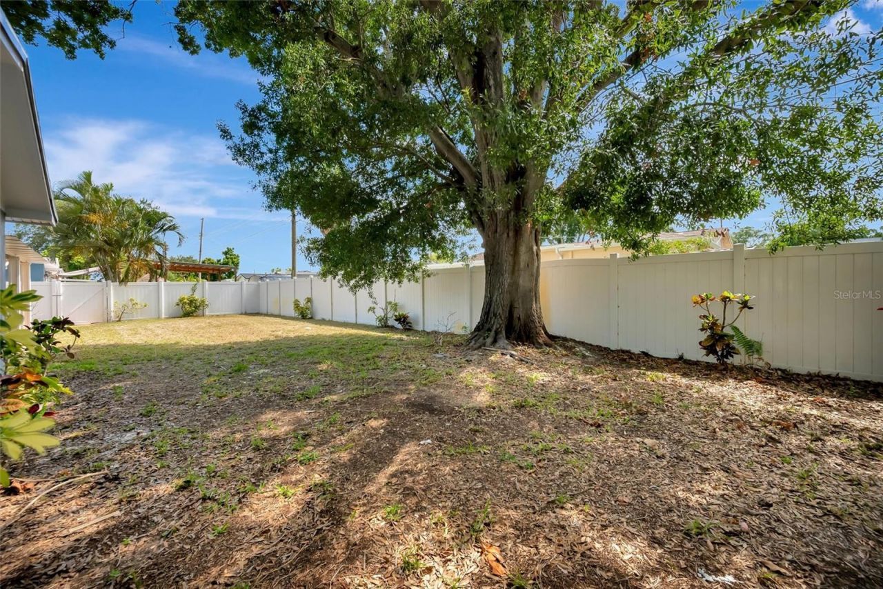 7454 Locust Street Ne, Saint Petersburg, FL 33702 Photo