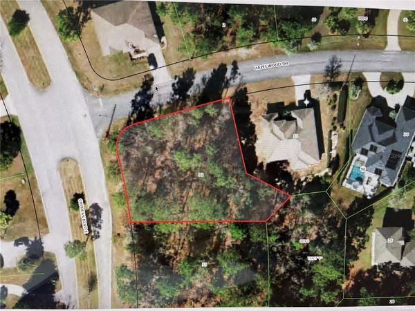 1 HAZELWOOD DRIVE, HOMOSASSA, FL 34446