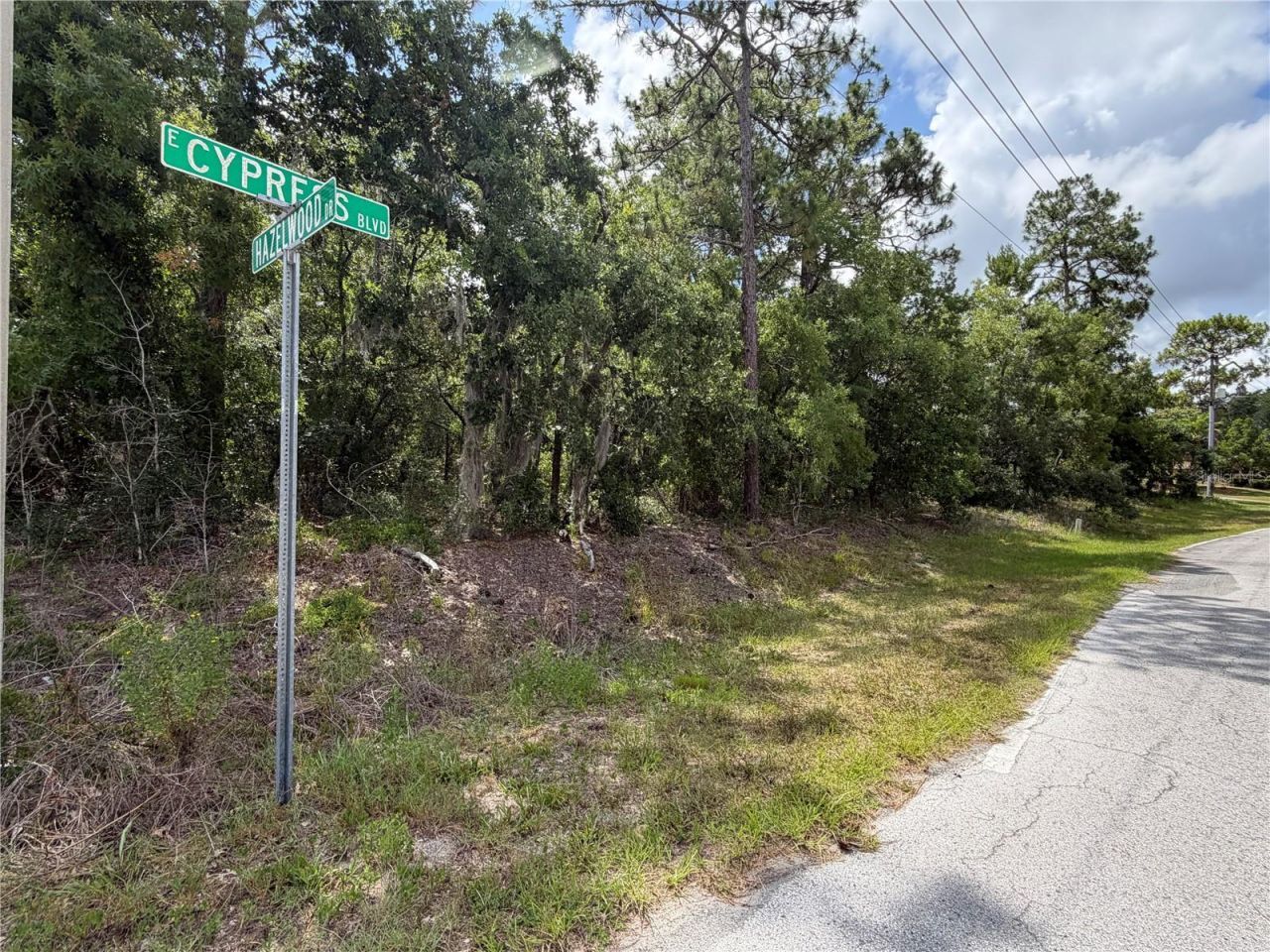 1 Hazelwood Drive, Homosassa, FL 34446 Photo
