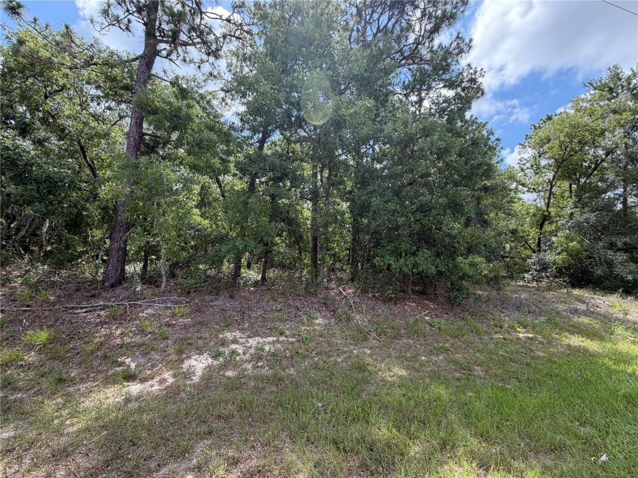 1 Hazelwood Drive, Homosassa, FL 34446 Photo