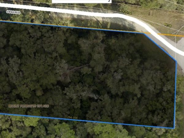 31699 NILES STREET , MOUNT PLYMOUTH, FL 32776