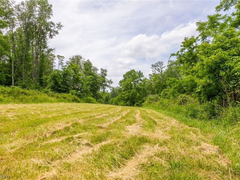 72645 Henderson Ridge Road , Saint Clairsville, OH 43950 Photo 37
