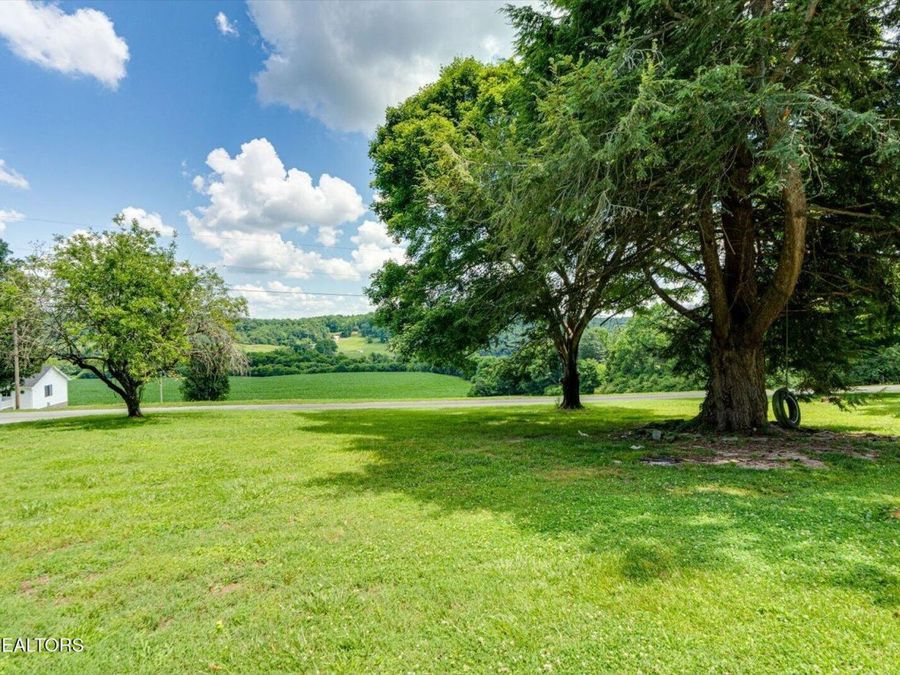 Property Image 54
