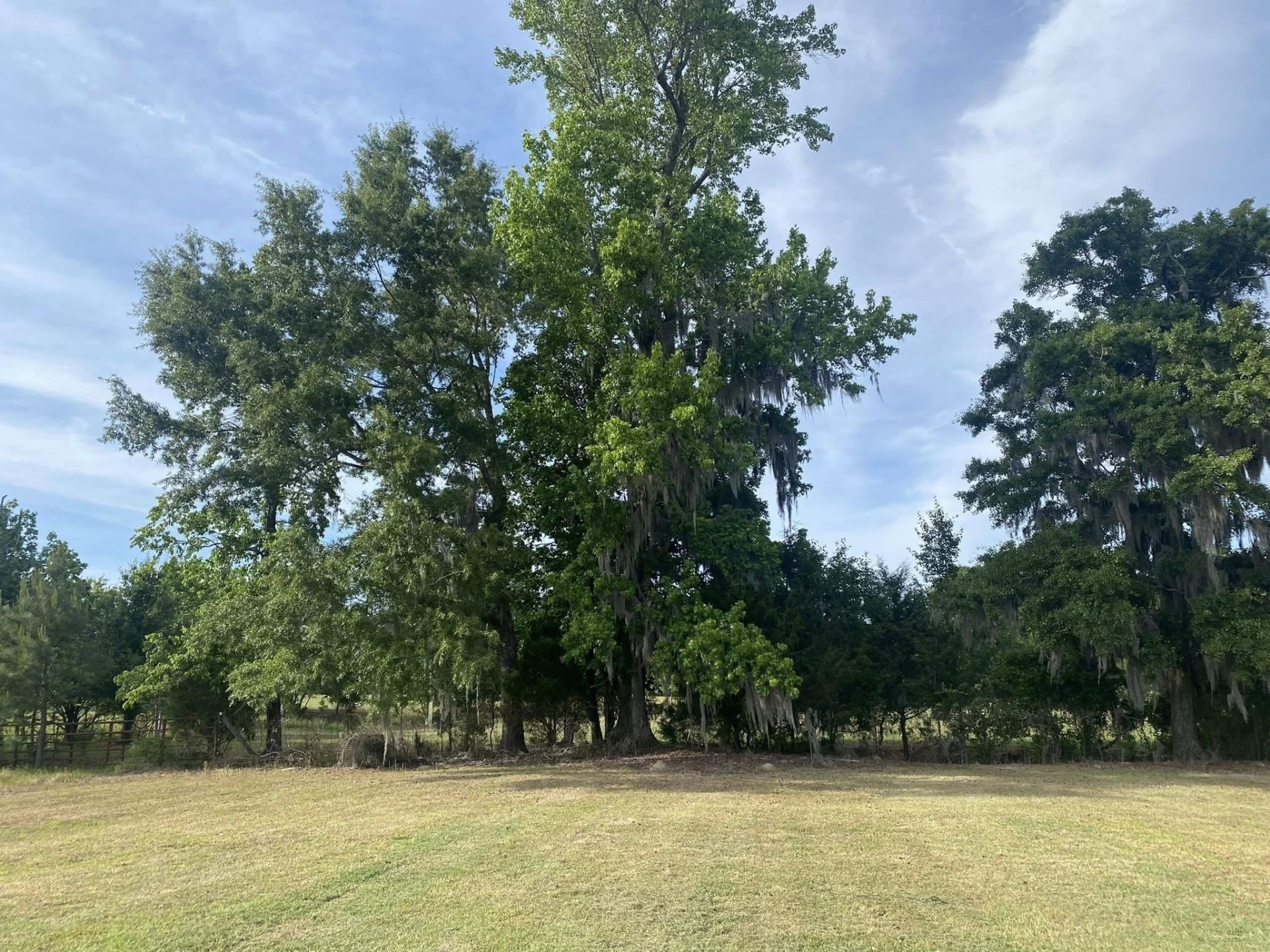 10407 County Line Rd. Photo 28