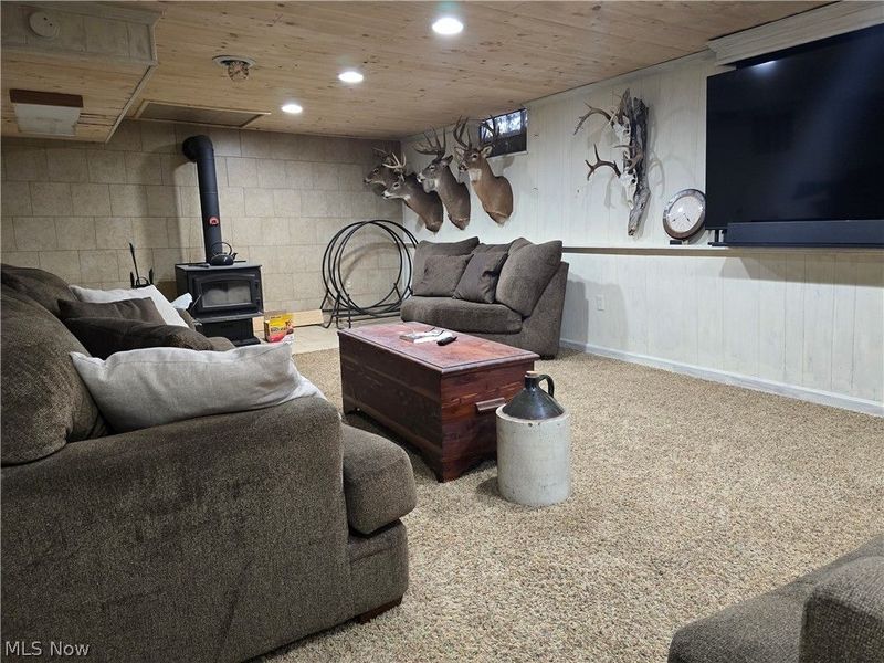 3902 Ayrshire Drive, Youngstown, OH 44511 Photo 20