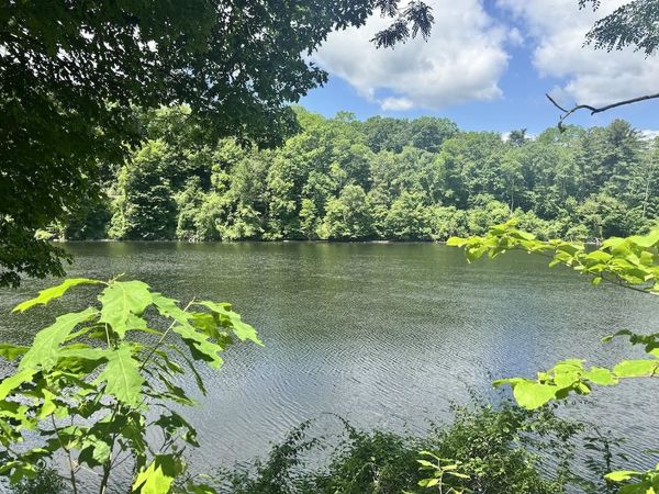 00 Mountain Road, Unit Map 25, Block A, Lot 2.43, Chesterfield, NH 03466