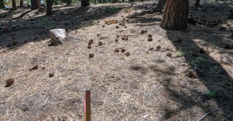 1876 Elks Club Dr, South Lake Tahoe, CA 96150 Photo
