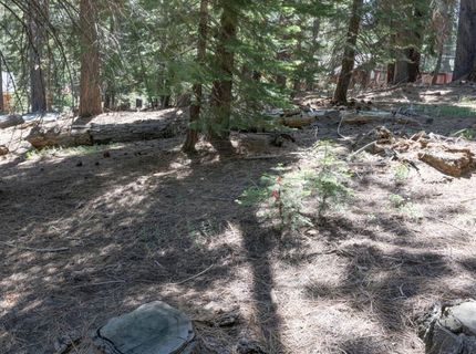 1876 Elks Club Dr, South Lake Tahoe, CA 96150 Photo