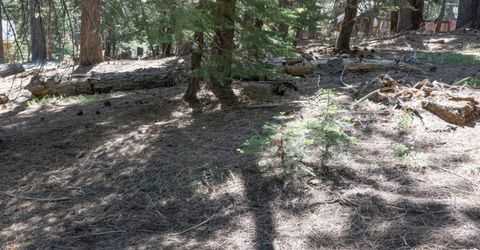 1876 Elks Club Dr, South Lake Tahoe, CA 96150 Photo