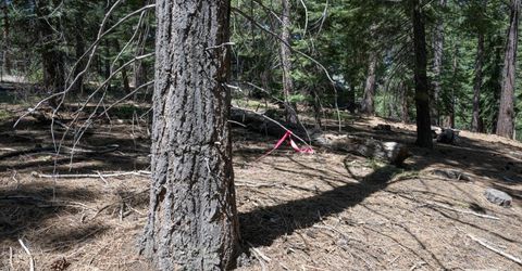 1876 Elks Club Dr, South Lake Tahoe, CA 96150 Photo