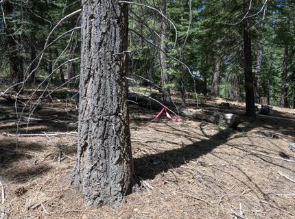1876 Elks Club Dr, South Lake Tahoe, CA 96150 Photo