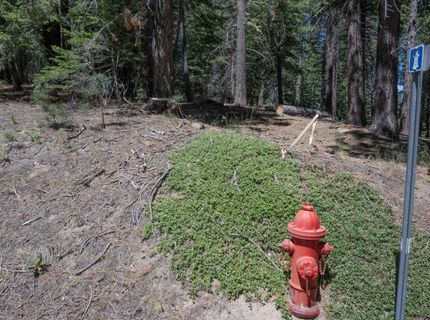 1876 Elks Club Dr, South Lake Tahoe, CA 96150 Photo