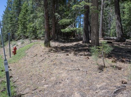 1876 Elks Club Dr, South Lake Tahoe, CA 96150 Photo