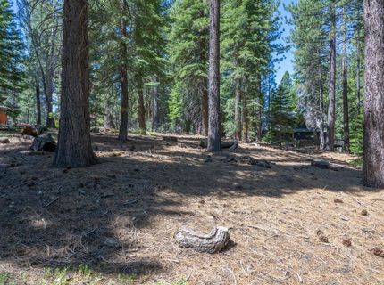1876 Elks Club Dr, South Lake Tahoe, CA 96150 Photo