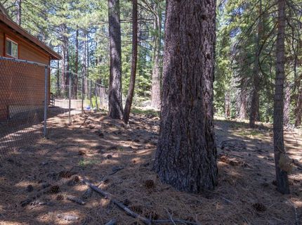 1876 Elks Club Dr, South Lake Tahoe, CA 96150 Photo