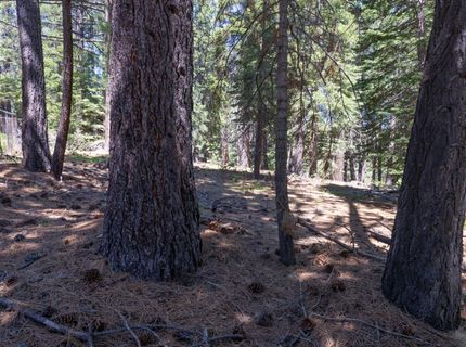 1876 Elks Club Dr, South Lake Tahoe, CA 96150 Photo